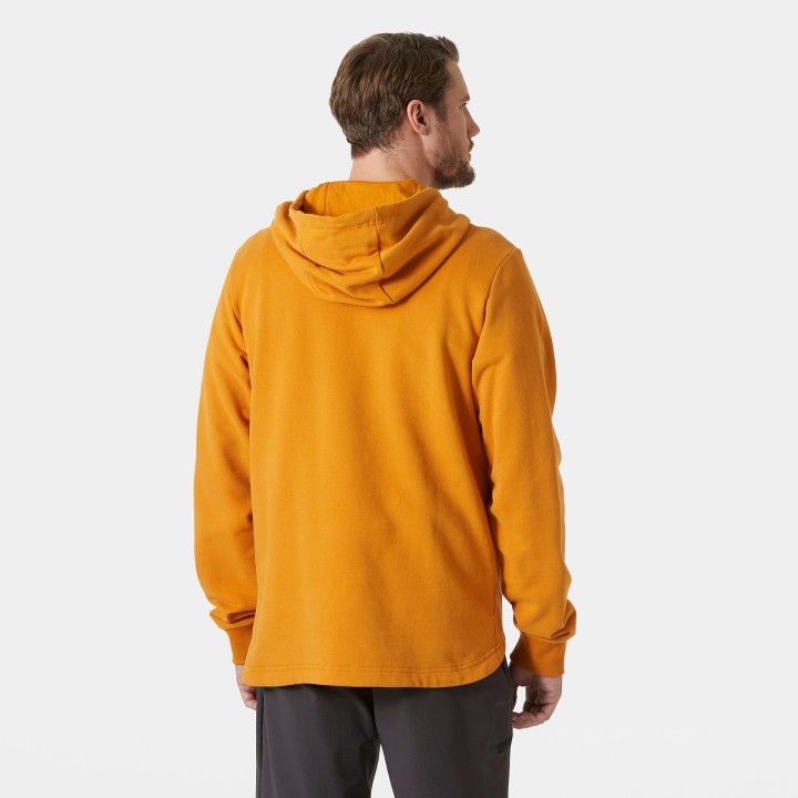 HELLY HANSEN ARCTIC OCEAN HOODIE 2.0 YELLOW